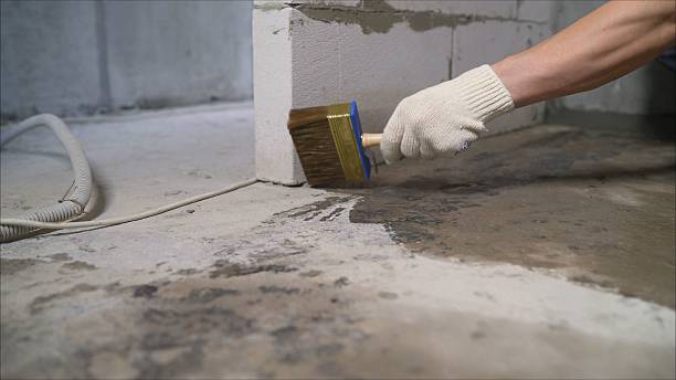 SJ Waterproofing Pros Waterproofing coverage map for Walland, TN and surrounding area